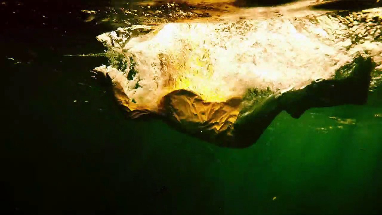 Born to Kill Trailer DF