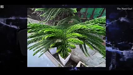 iPhone_13_Pro_Max__-_Unboxing___Overview_in_HINDI(_INDIAN_RETAIL_UNIT_) mujhe mat chodo