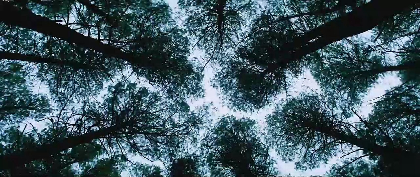 Judy & Punch Trailer (2) OV video Dailymotion