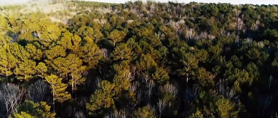 Hell On The Border Trailer OV