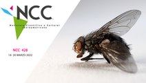 Una mosca invasora amenaza a 21 especies de aves en Galápagos | 428 | 14 al 20 de marzo de 2022