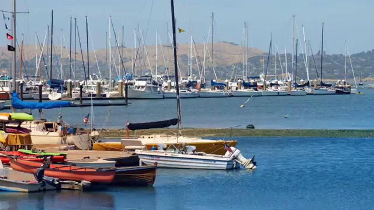 Liebe auf 4 Pfoten Trailer DF