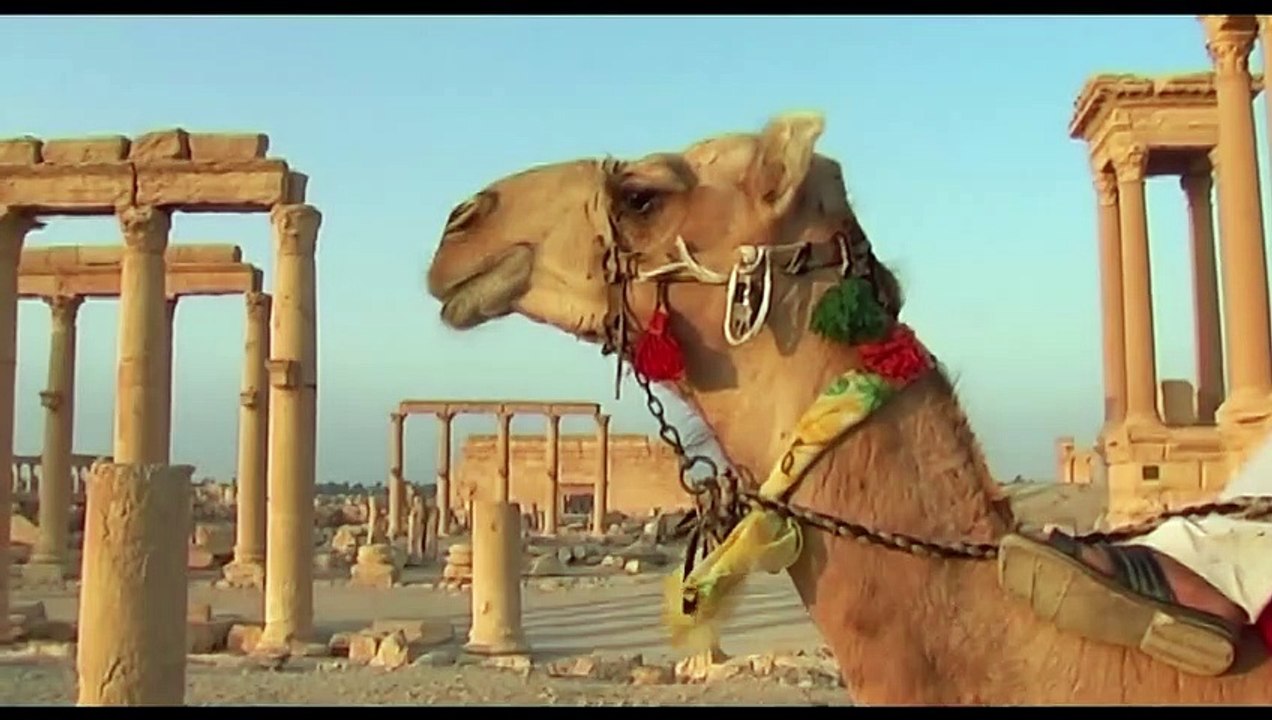 Palmyra Trailer DF
