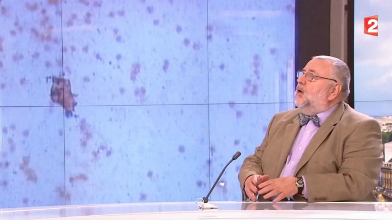 France 2 : Jean-Daniel Flaysakier