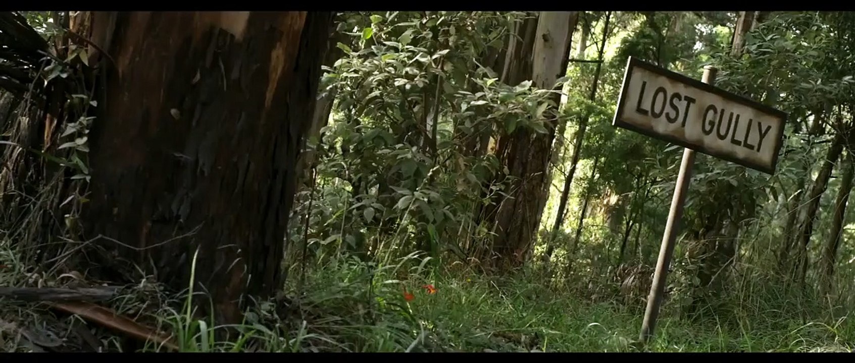 Lost Gully Road Trailer OV