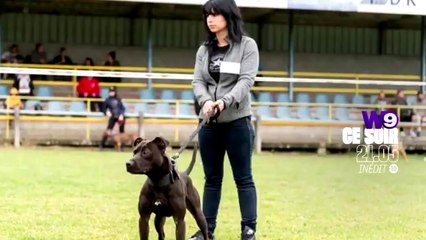 Enquêtes criminelles (W9) Affaire Elisa Pilarski