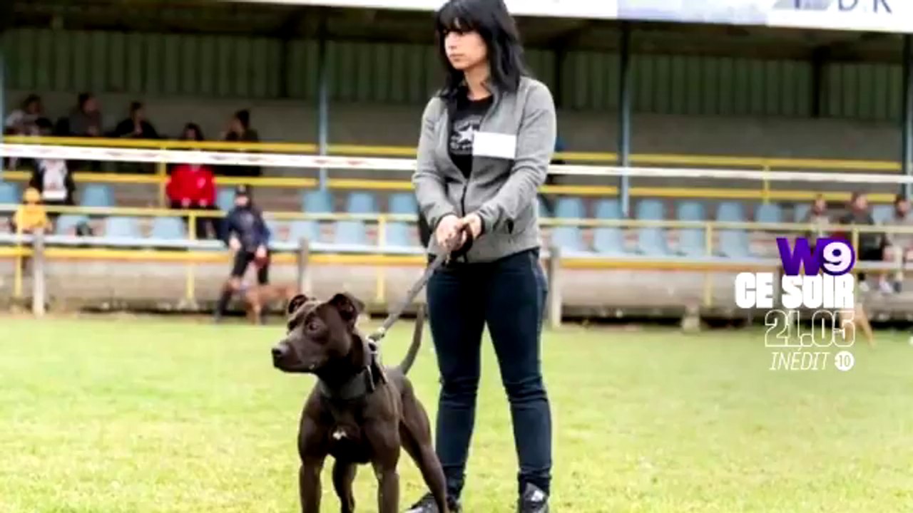 Enquêtes criminelles (W9) Affaire Elisa Pilarski