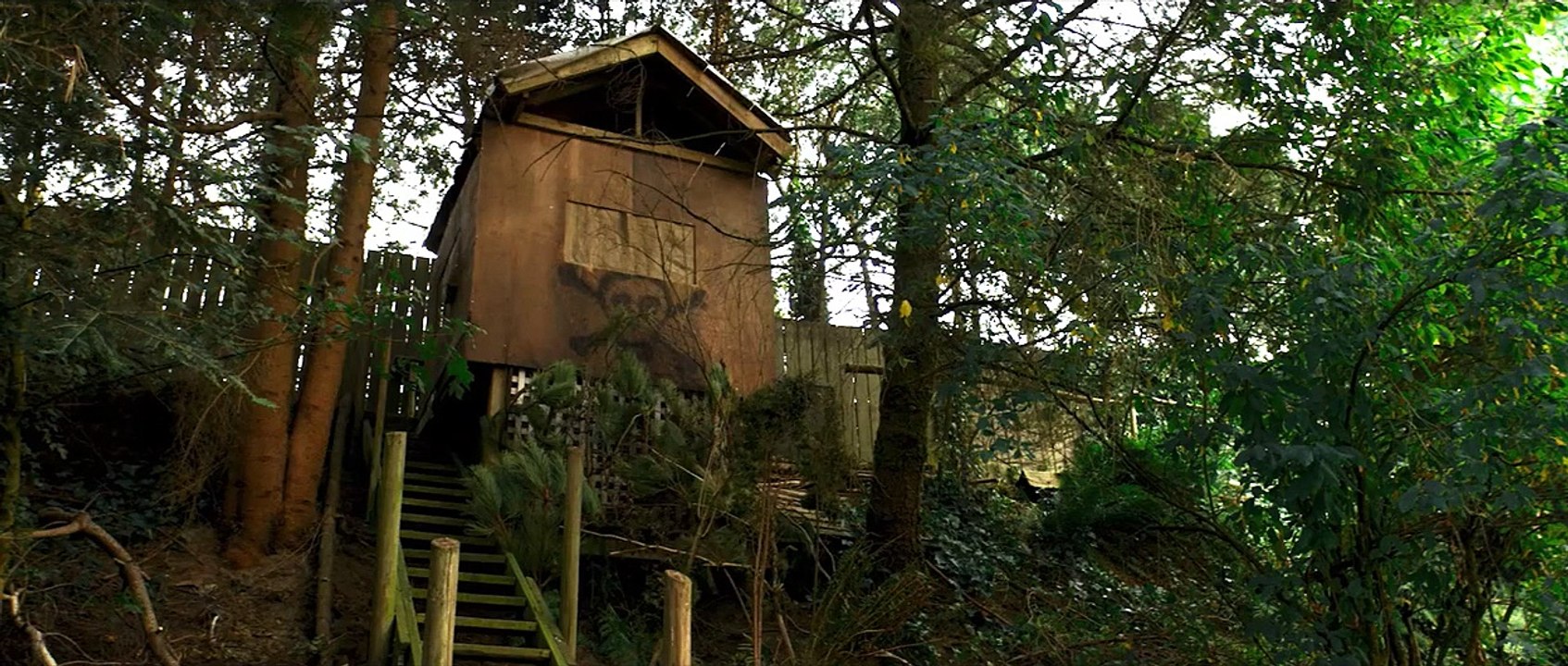 Summer of '84 Trailer DF