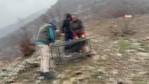 Hakkari'de Kara Akbaba, Kızıl şahin doğaya bırakıldı