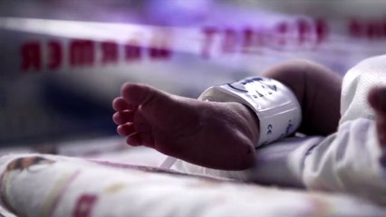 Toxic Beauty Trailer OV