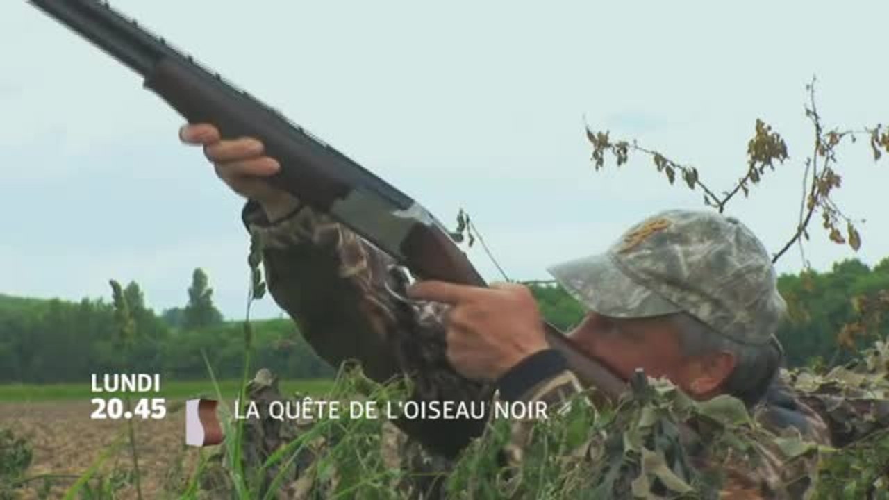 La Quête de l'oiseau noir - 17/10/16