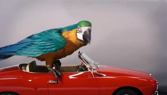 Die fantastische Reise des Dr. Dolittle Trailer (2) OV