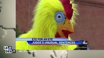 Le zapping du 08/09 : Etats-Unis : Un juge propose des sentences loufoques au lieu de peines de prison !