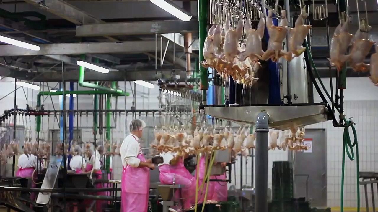 Was essen wir morgen? Trailer DF