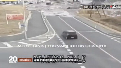 Séisme Indonésie - France 2