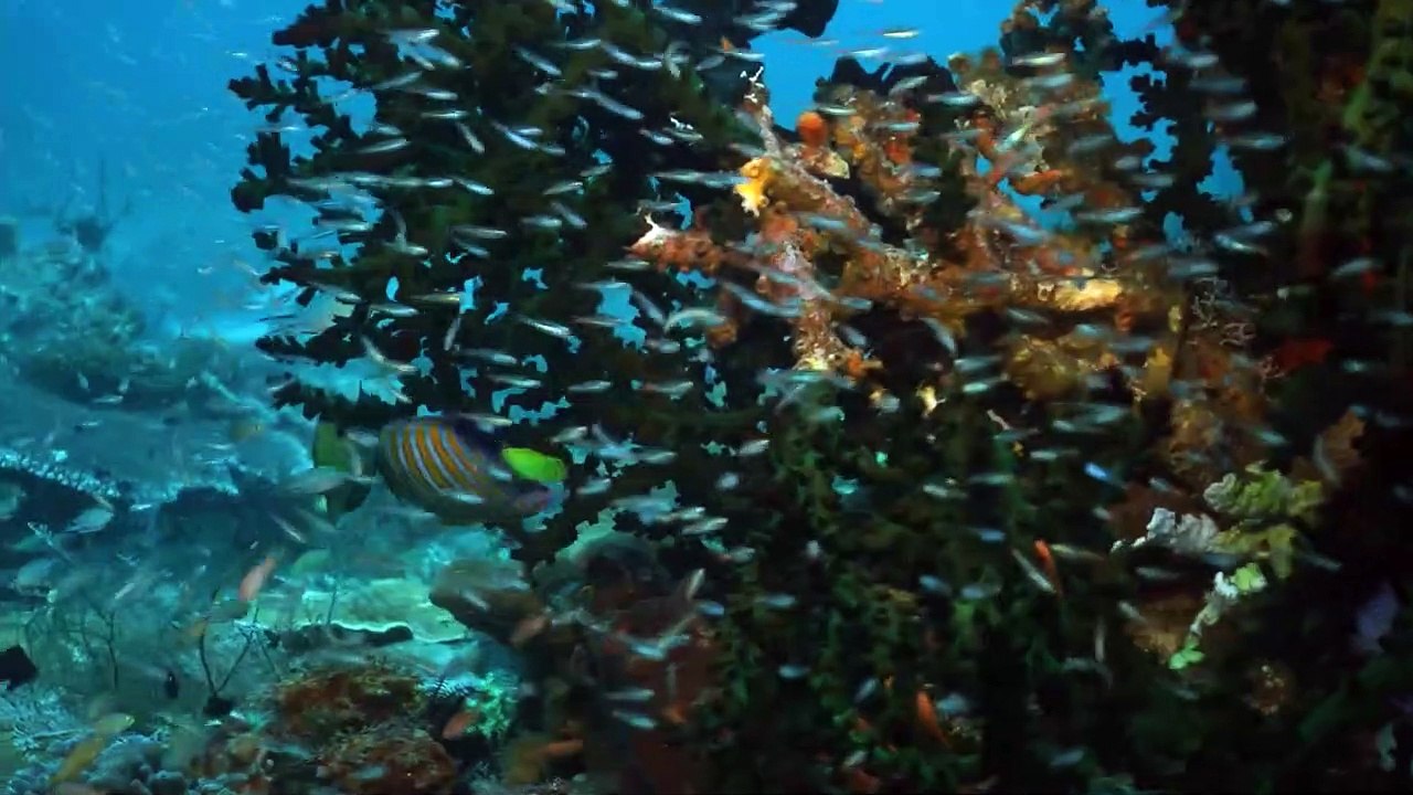 An den Rändern der Welt Trailer DF