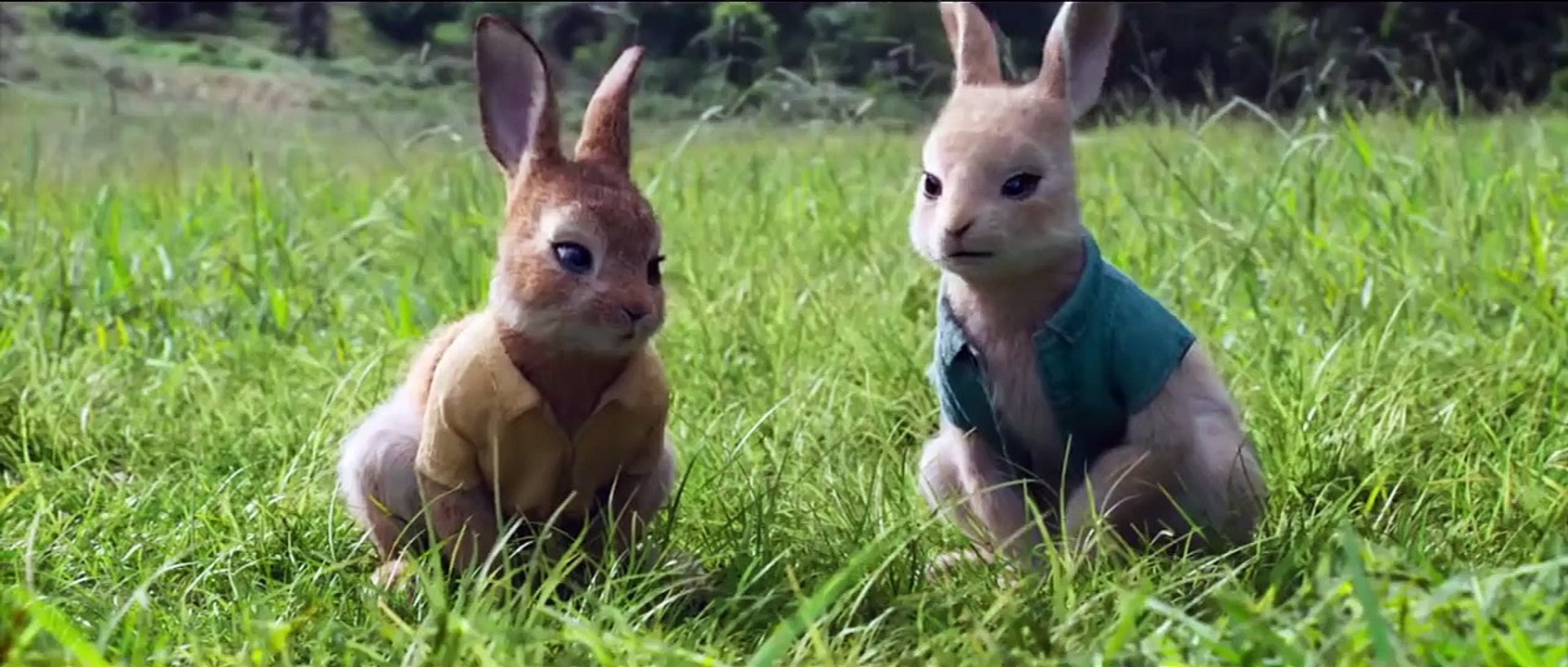Peter Hase 2 - Ein Hase macht sich vom Acker Trailer OV