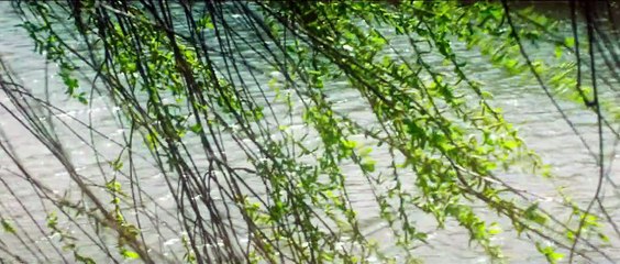 Marie Curie - Elemente des Lebens Teaser OV