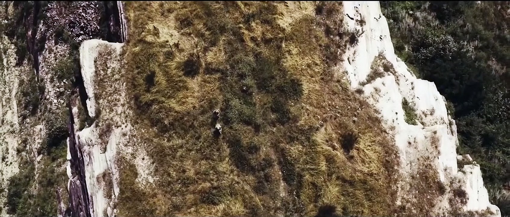 Ulysses: A Dark Odyssey Trailer DF