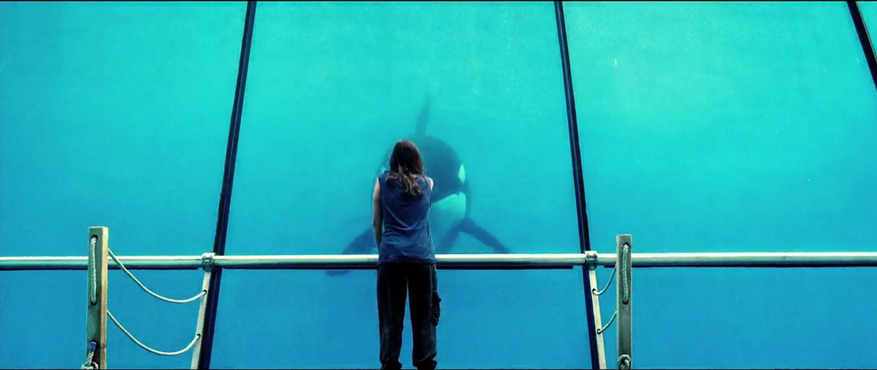 Der Geschmack von Rost und Knochen Trailer DF