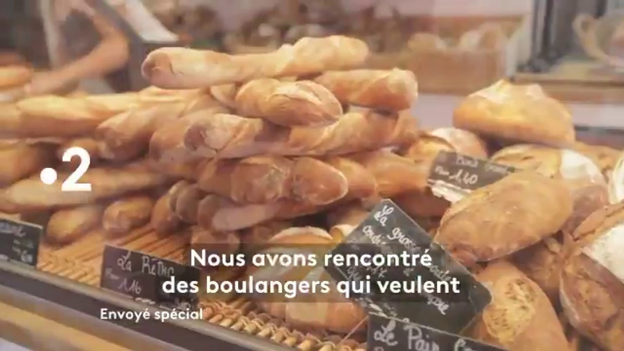 Envoyé spécial (France 2) Les mordus de pain