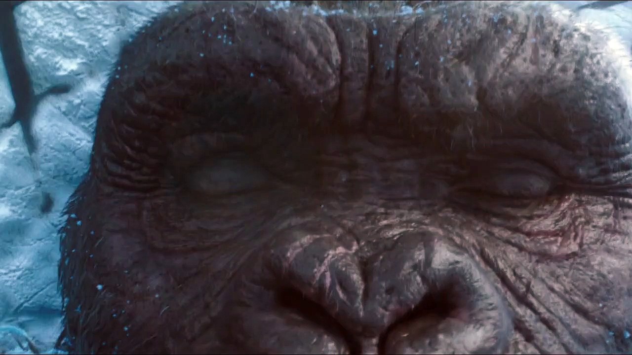 Warner Bros. Best Of 2021