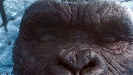 Warner Bros. Best Of 2021