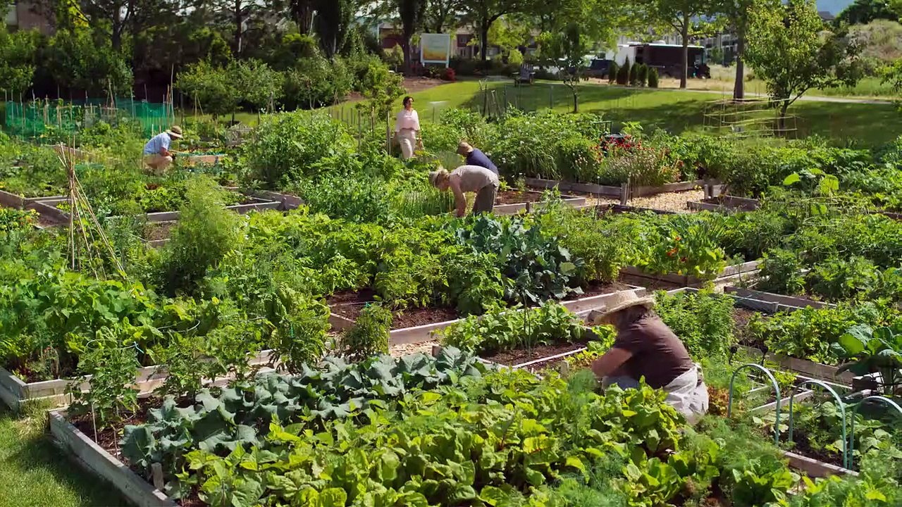 Ein Trauzeuge zum Verlieben Trailer DF