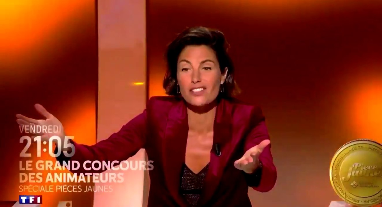 Le grand concours (TF1) Spéciale pièces jaunes