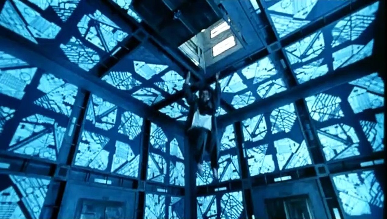 Cube Trailer DF