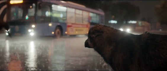 Space Dogs Trailer OmdU