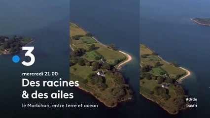 Des racines et des ailes  - Le Morbihan, entre terre et océan - france 3 - 26 09 18