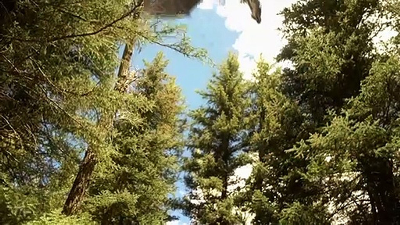 Dragon Soldiers Trailer DF