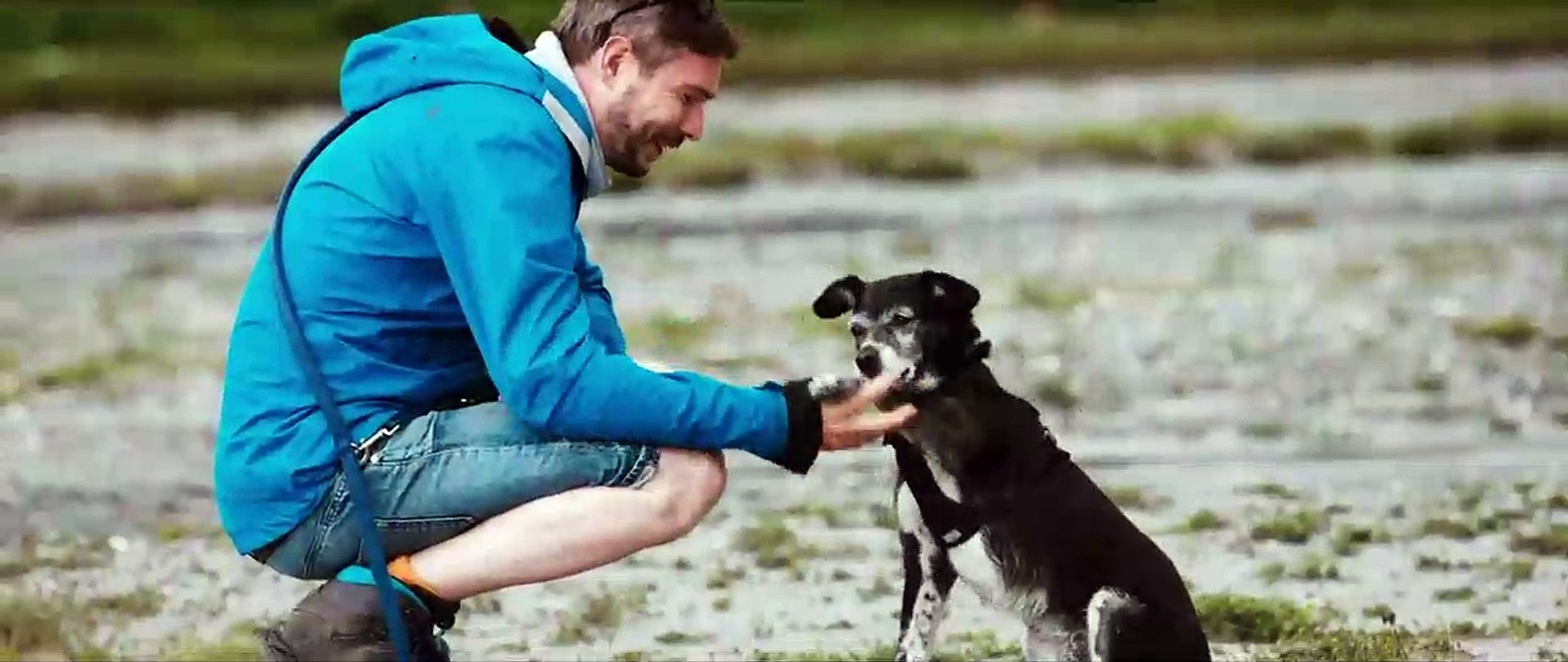 Cody - Wie ein Hund die Welt verändert Trailer DF