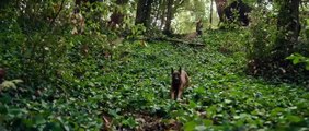 Dog - Das Glück hat vier Pfoten Trailer (2) OV