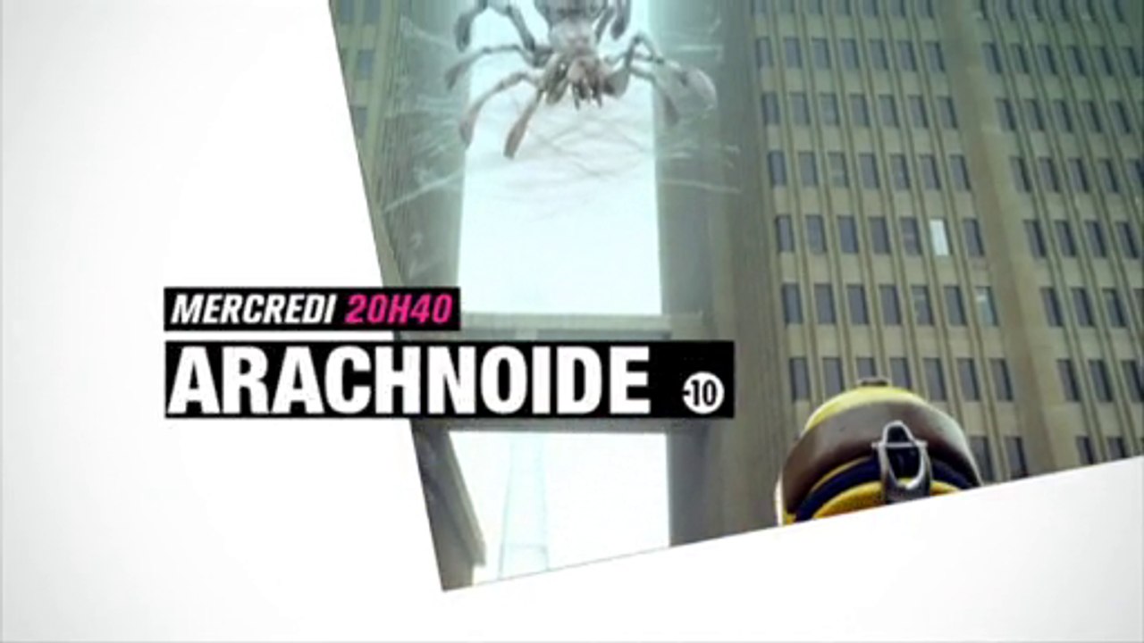 Arachnoid