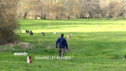 Derrière les renards - 23/09/16