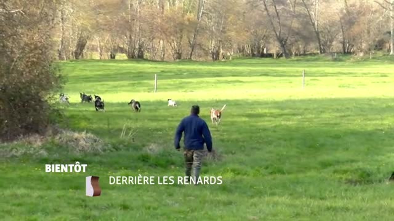 Derrière les renards - 23/09/16