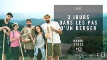 Trois jours dans les pas d'un berger - 29 08 17 - C8