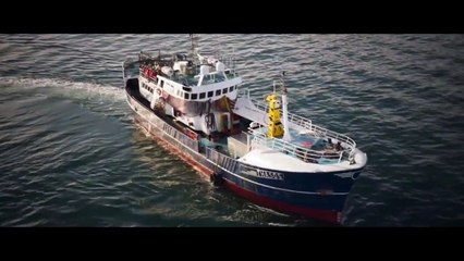 Deep Blue Sea 3 Videoauszug OV