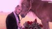 Zapping du 17/09 : Sous hypnose, Baptiste Giabiconi croit être amoureux d’un poney