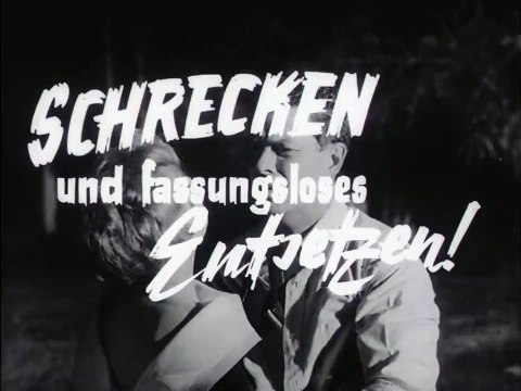 Der Schrecken schleicht durch die Nacht Trailer DF