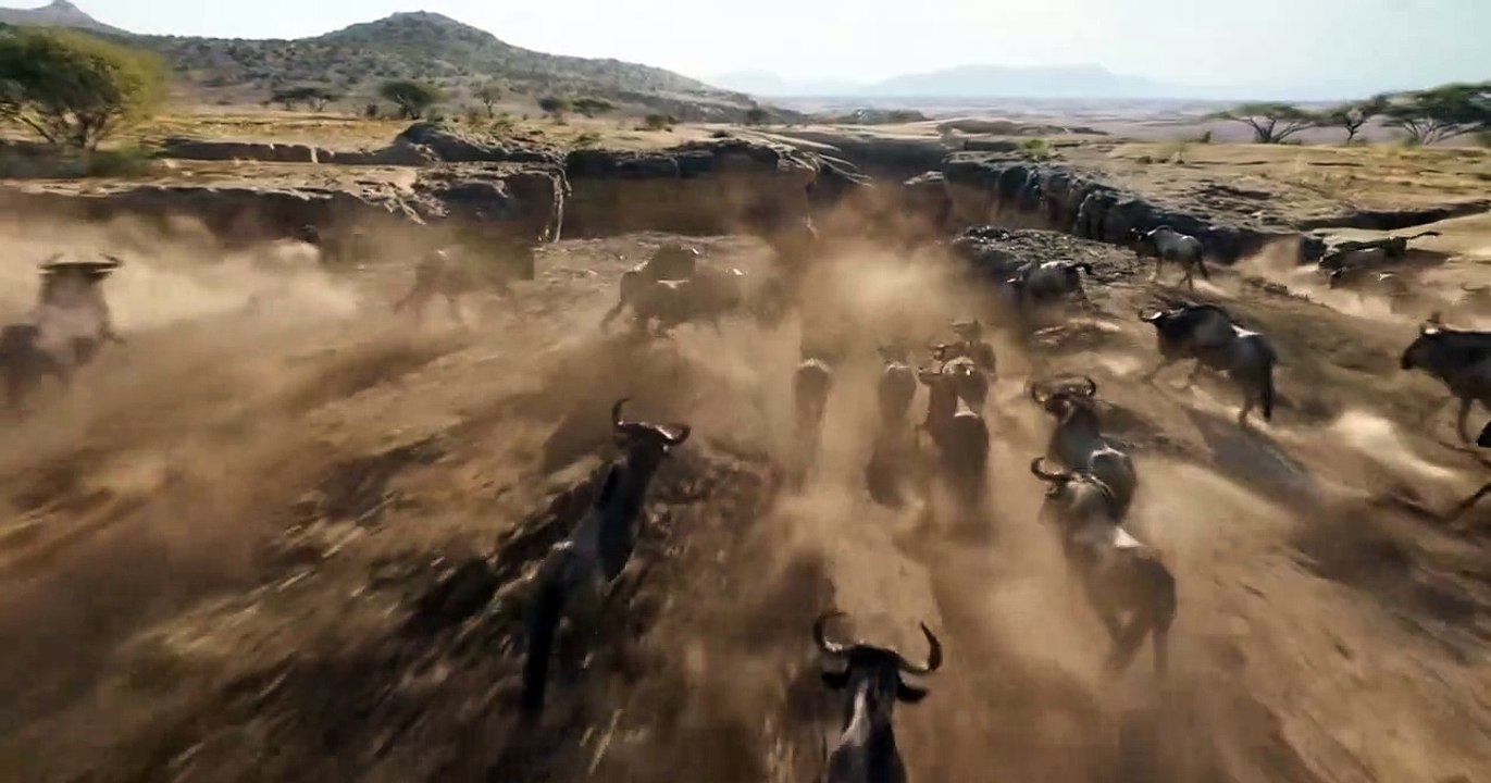 Der König der Löwen Teaser DF