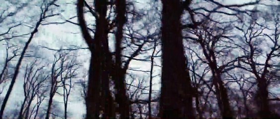 A Dark Path Trailer OV