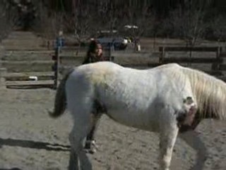 Jeu de cercle en lib