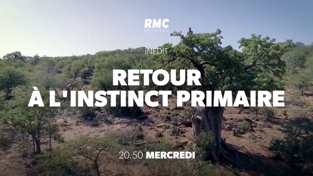Retour à l'instinct primaire - rmc - 12 09 18