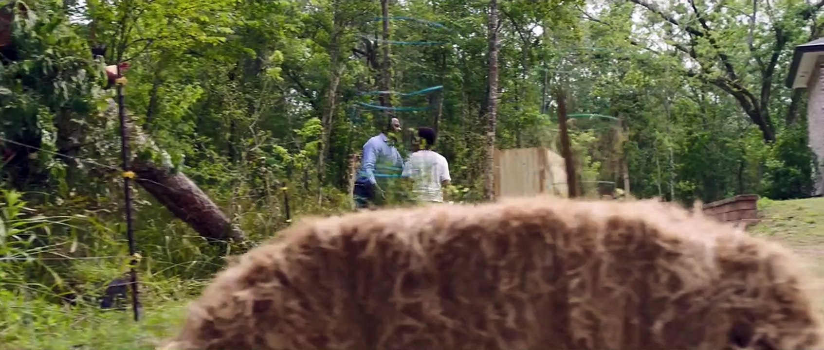 American Refugee Trailer DF