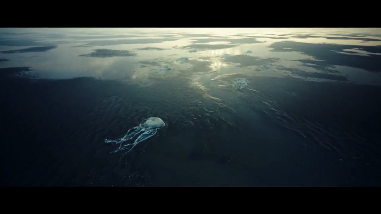 Tides Trailer DF