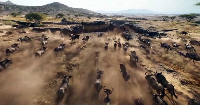 Der König der Löwen Teaser (4) OV