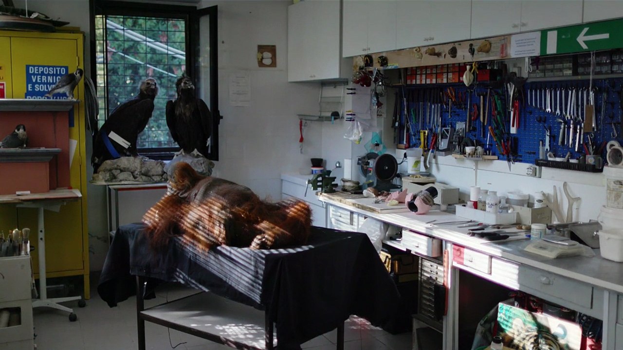 The Second Life - Das zweite Leben Trailer DF